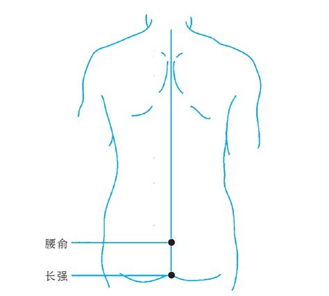 穴穴形狀|穴位